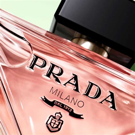 profumo prada donna paradoxe|Prada paradoxe echo.